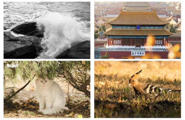 18140镜头价格_18140镜头多少钱-第3张图片-星辰妙记 18140镜头价格_18140镜头多少钱-第3张图片-星辰妙记