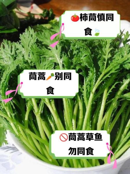 孕妇可以吃茼蒿吗_孕期吃茼蒿的注意事项-第1张图片-星辰妙记 孕妇可以吃茼蒿吗_孕期吃茼蒿的注意事项-第1张图片-星辰妙记