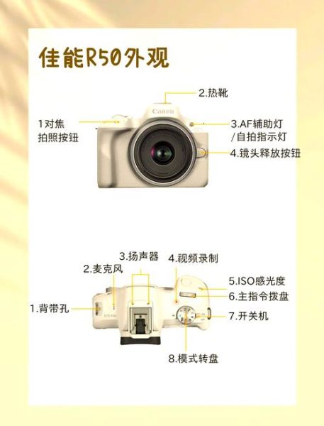 佳能手动镜头值得买吗_如何挑选佳能手动镜头-第2张图片-星辰妙记 佳能手动镜头值得买吗_如何挑选佳能手动镜头-第2张图片-星辰妙记