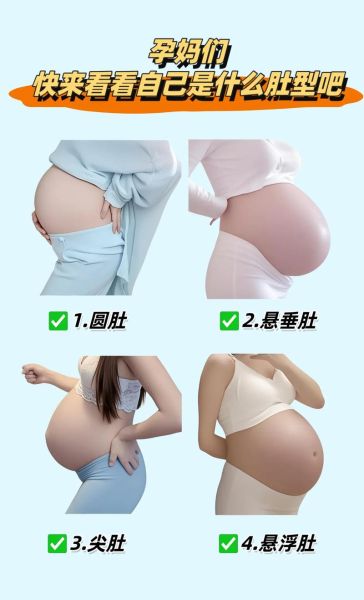 孕妇肚子大小正常吗_孕妇肚子形状怎么看-第2张图片-星辰妙记