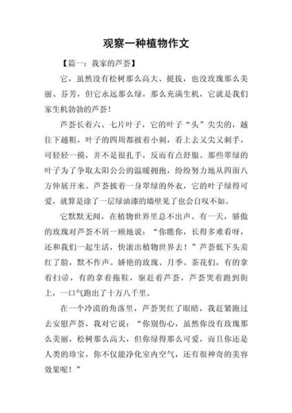 观察作文怎么写_小学生观察作文技巧-第1张图片-星辰妙记