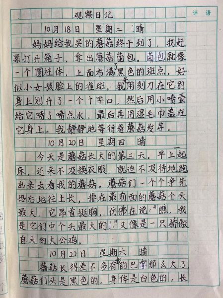 观察作文怎么写_小学生观察作文技巧-第3张图片-星辰妙记