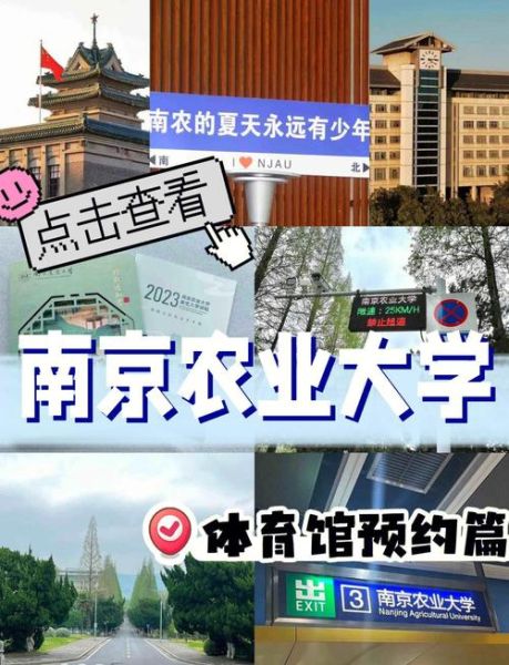 南京农业大学地址在哪里_南京农业大学怎么去-第2张图片-星辰妙记