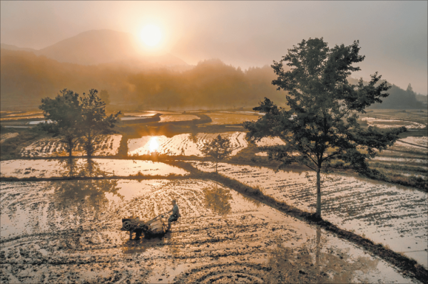 晨光镜头怎么样_晨光镜头适合拍什么-第3张图片-星辰妙记