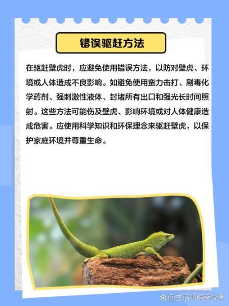 孕妇家里有壁虎怎么办_壁虎对孕妇有害吗-第1张图片-星辰妙记 孕妇家里有壁虎怎么办_壁虎对孕妇有害吗-第1张图片-星辰妙记