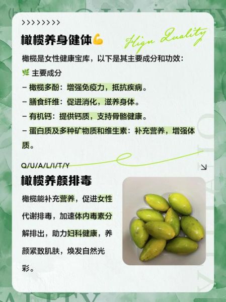 孕妇可以吃橄榄吗_孕期吃橄榄的好处与禁忌-第1张图片-星辰妙记