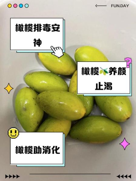 孕妇可以吃橄榄吗_孕期吃橄榄的好处与禁忌-第2张图片-星辰妙记