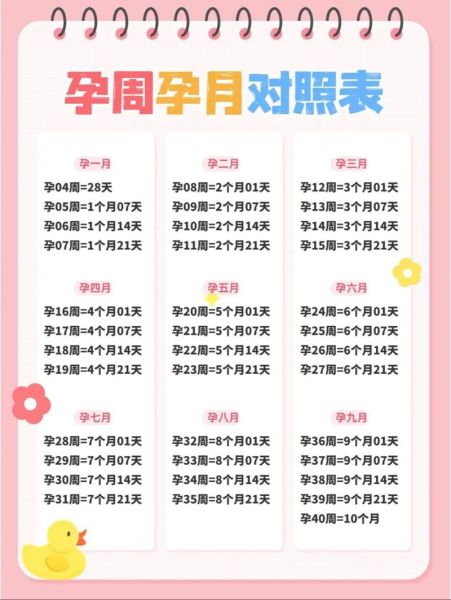 孕妇一周是多少天_孕期周数怎么算-第1张图片-星辰妙记