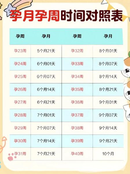 孕妇一周是多少天_孕期周数怎么算-第2张图片-星辰妙记