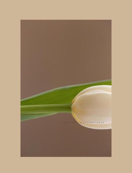 静物摄影镜头怎么选_静物摄影用什么镜头最好-第3张图片-星辰妙记 静物摄影镜头怎么选_静物摄影用什么镜头最好-第3张图片-星辰妙记