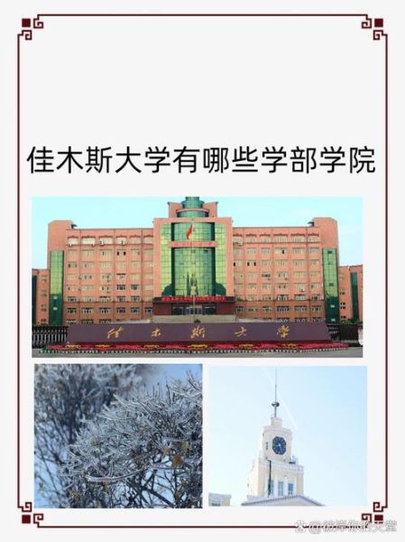 佳木斯大学是几本_佳木斯大学属于什么档次-第1张图片-星辰妙记