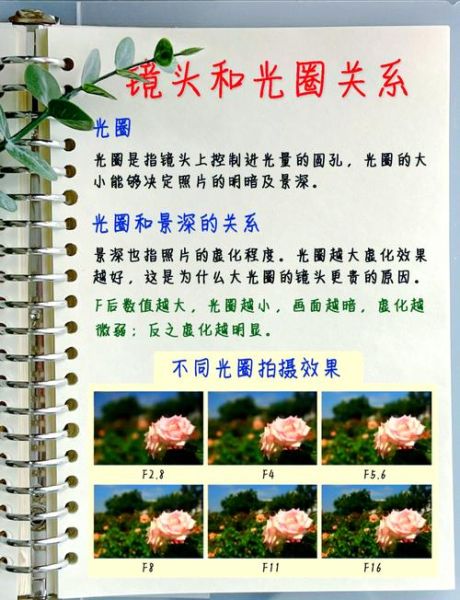 单反镜头怎么选_初学者入门必看-第2张图片-星辰妙记