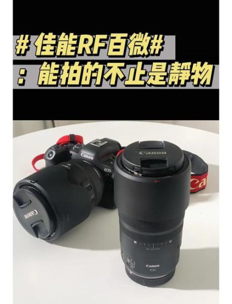 佳能百微镜头值得买吗_佳能百微镜头使用技巧-第1张图片-星辰妙记 佳能百微镜头值得买吗_佳能百微镜头使用技巧-第1张图片-星辰妙记