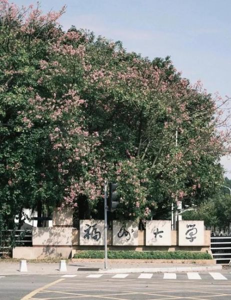 福州有哪些大学_福州大学怎么样-第3张图片-星辰妙记