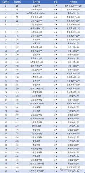 山东省大学排行榜2024_哪些高校最值得报考-第3张图片-星辰妙记