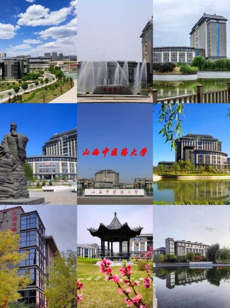 山西中医药大学排名怎么样_山西中医药大学全国第几-第2张图片-星辰妙记