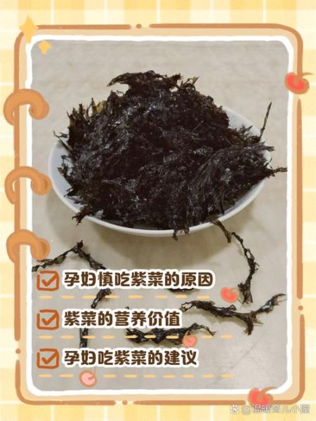 紫菜孕妇可以吃吗_孕妇吃紫菜注意事项-第1张图片-星辰妙记
