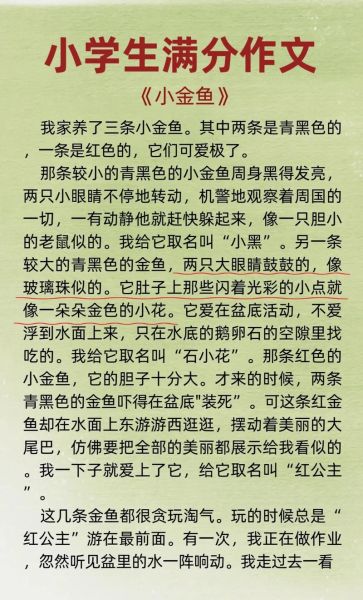 小学生作文怎么写_如何快速提高语文作文水平-第1张图片-星辰妙记 小学生作文怎么写_如何快速提高语文作文水平-第1张图片-星辰妙记