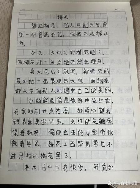 梅花香自苦寒来_如何写好作文-第2张图片-星辰妙记