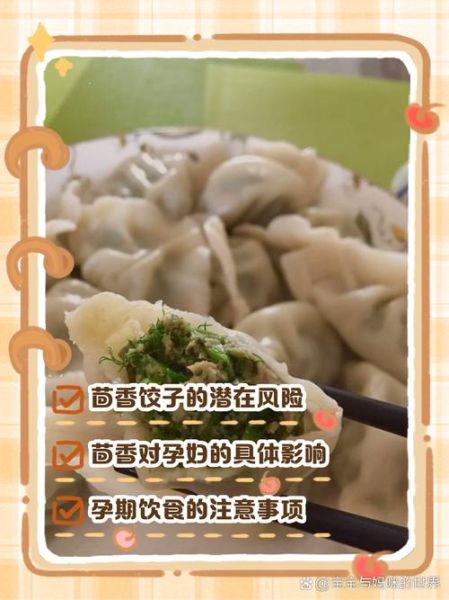 孕妇能吃茴香饺子吗_孕期吃茴香饺子的注意事项-第2张图片-星辰妙记