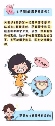 孕妇b超什么时候做_孕妇b超做几次-第2张图片-星辰妙记