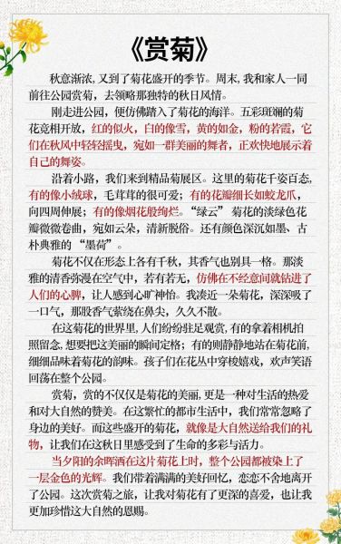 菊花作文怎么写_菊花象征意义有哪些-第1张图片-星辰妙记