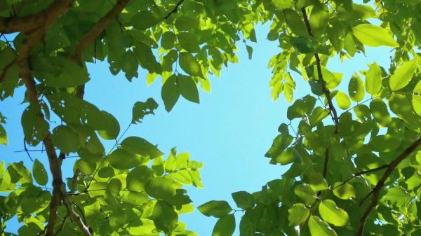 风景空镜头怎么拍_风景空镜头有什么用-第2张图片-星辰妙记