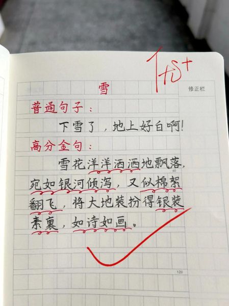 冬天作文怎么写_描写雪景的优美句子-第1张图片-星辰妙记