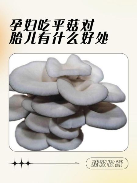 孕妇能吃蘑菇吗_孕妇吃菌类注意事项-第1张图片-星辰妙记 孕妇能吃蘑菇吗_孕妇吃菌类注意事项-第1张图片-星辰妙记