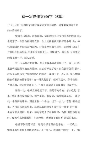 写物的作文600字怎么写_写物作文600字范文-第2张图片-星辰妙记