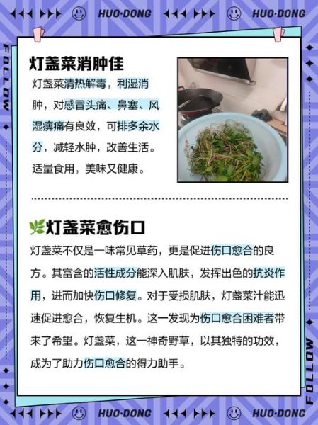孕妇能吃灯盏菜吗_灯盏菜对孕妇安全吗-第3张图片-星辰妙记