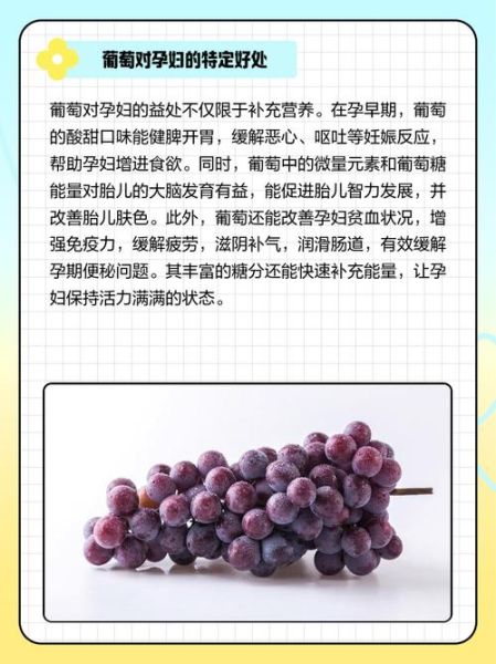 孕妇可以喝红酒吗_孕期喝红酒对胎儿有影响吗-第1张图片-星辰妙记