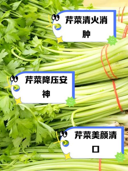 孕妇可以吃芹菜吗_怀孕吃芹菜的好处与禁忌-第2张图片-星辰妙记