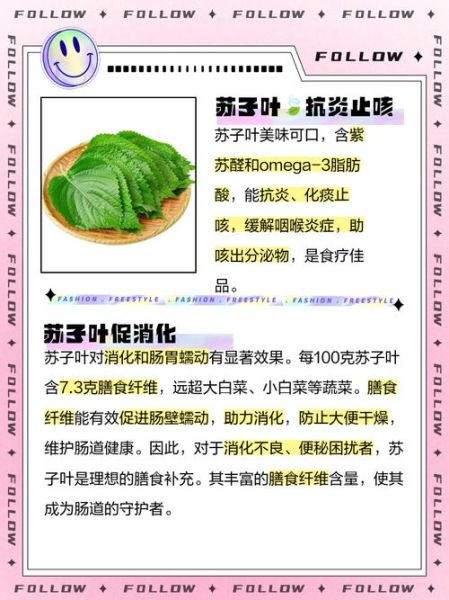 孕妇可以吃苏子叶吗_苏子叶对孕妇的好处与禁忌-第1张图片-星辰妙记