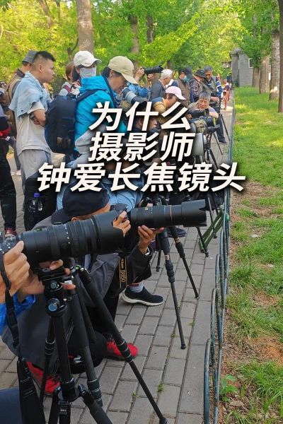 长焦镜头怎么拍_长焦镜头拍摄技巧-第1张图片-星辰妙记