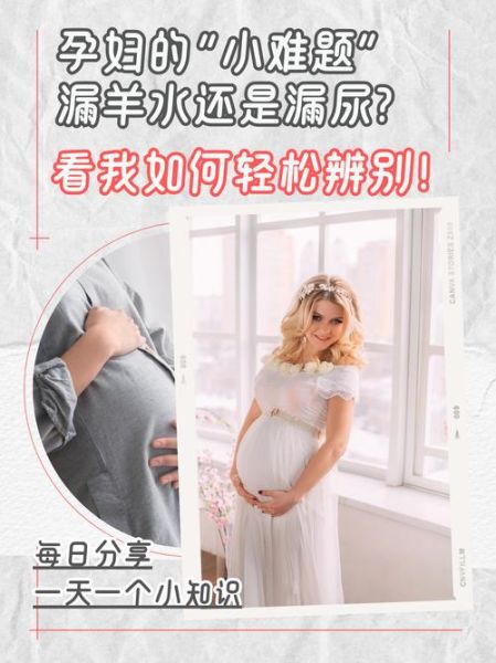 孕妇漏羊水的症状_怎么分辨漏羊水还是漏尿-第1张图片-星辰妙记 孕妇漏羊水的症状_怎么分辨漏羊水还是漏尿-第1张图片-星辰妙记