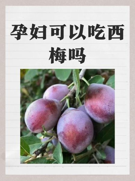 孕妇可以吃溜溜梅吗_孕期吃话梅注意事项-第1张图片-星辰妙记