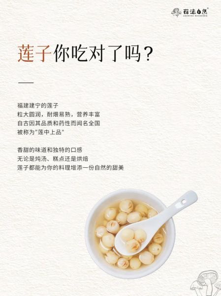 孕妇吃莲子对胎儿好吗_莲子一天吃多少粒合适-第3张图片-星辰妙记 孕妇吃莲子对胎儿好吗_莲子一天吃多少粒合适-第3张图片-星辰妙记