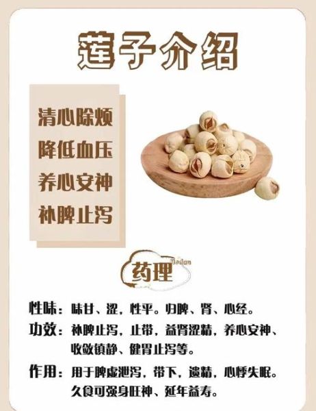 孕妇吃莲子对胎儿好吗_莲子一天吃多少粒合适-第1张图片-星辰妙记 孕妇吃莲子对胎儿好吗_莲子一天吃多少粒合适-第1张图片-星辰妙记
