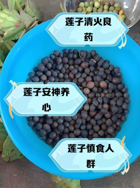 孕妇吃莲子对胎儿好吗_莲子一天吃多少粒合适-第2张图片-星辰妙记 孕妇吃莲子对胎儿好吗_莲子一天吃多少粒合适-第2张图片-星辰妙记