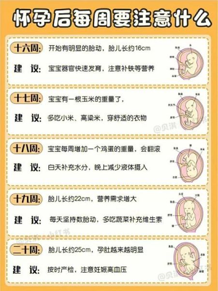 孕妇保健手册不办行吗_产检必须带吗-第3张图片-星辰妙记 孕妇保健手册不办行吗_产检必须带吗-第3张图片-星辰妙记