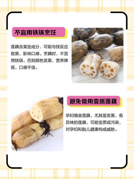 孕妇能吃莲藕吗_莲藕对胎儿的好处-第2张图片-星辰妙记 孕妇能吃莲藕吗_莲藕对胎儿的好处-第2张图片-星辰妙记