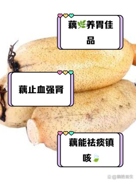孕妇能吃莲藕吗_莲藕对胎儿的好处-第1张图片-星辰妙记 孕妇能吃莲藕吗_莲藕对胎儿的好处-第1张图片-星辰妙记