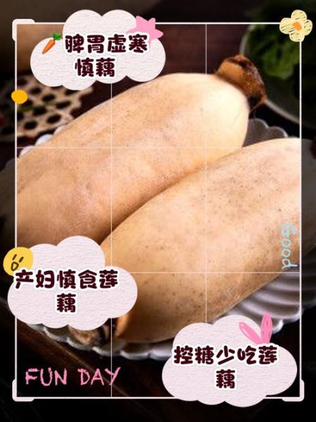 孕妇能吃莲藕吗_莲藕对胎儿的好处-第3张图片-星辰妙记 孕妇能吃莲藕吗_莲藕对胎儿的好处-第3张图片-星辰妙记