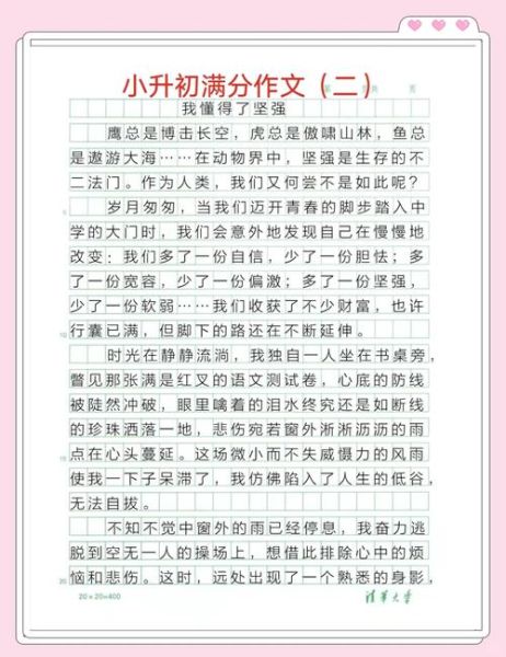 小升初作文怎么写_小升初作文常见题目有哪些-第2张图片-星辰妙记