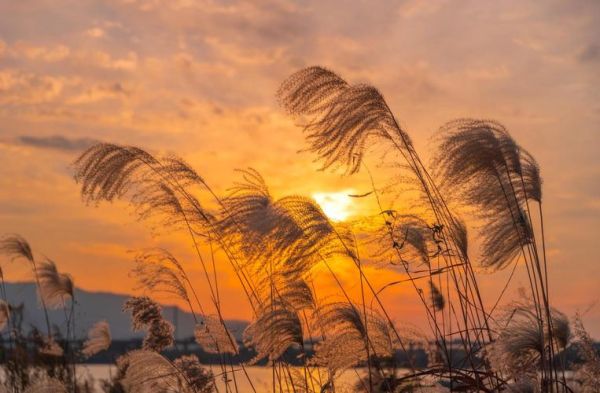 宾得镜头为什么贵_宾得镜头值不值这个价-第2张图片-星辰妙记