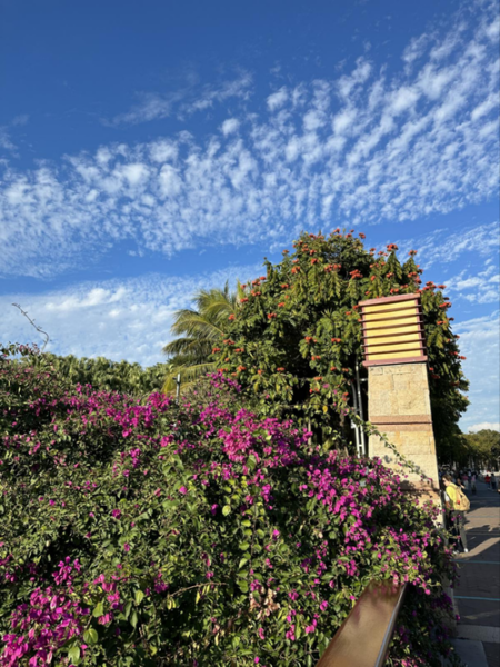 218镜头适合拍什么_218镜头画质怎么样-第1张图片-星辰妙记 218镜头适合拍什么_218镜头画质怎么样-第1张图片-星辰妙记