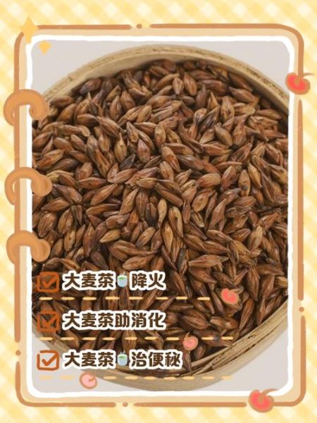 孕妇可以喝大麦茶吗_孕期喝大麦茶对胎儿有影响吗-第3张图片-星辰妙记