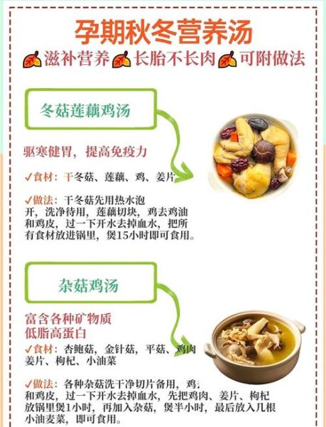 孕妇煲汤食谱大全_哪些汤最适合孕期喝-第2张图片-星辰妙记 孕妇煲汤食谱大全_哪些汤最适合孕期喝-第2张图片-星辰妙记