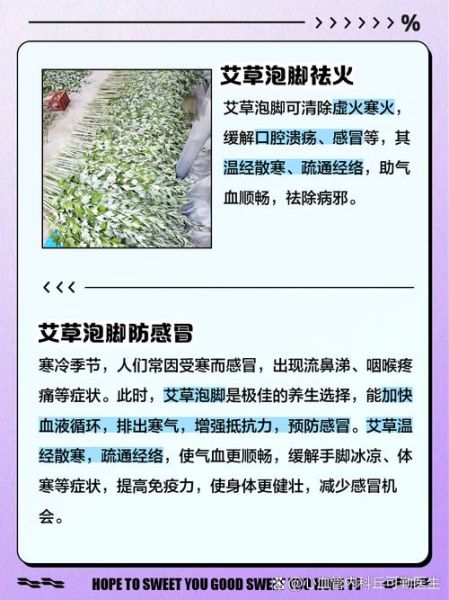 孕妇可以用艾草泡脚吗_孕妇泡脚禁忌-第1张图片-星辰妙记